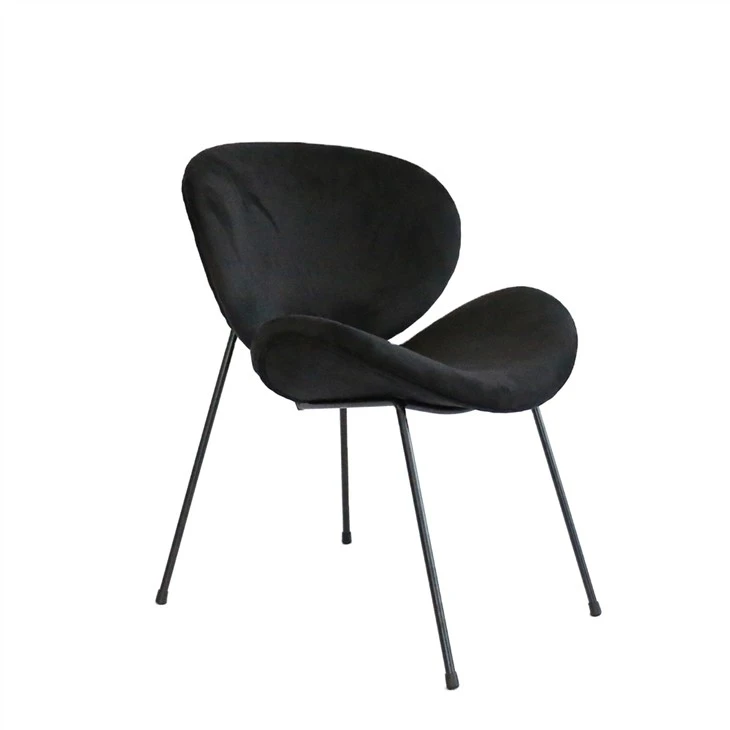 Metal Frame Dining Chair Uphoplstered Leisure Chair Accent President