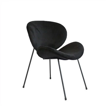 Metal Frame Dining Chair Uphoplstered Leisure Chair Accent President