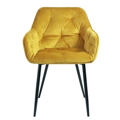 Velvet Drapp Dining Chair Pultruna Living Room