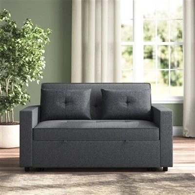 Loveseat Twin Sleeper Sufan